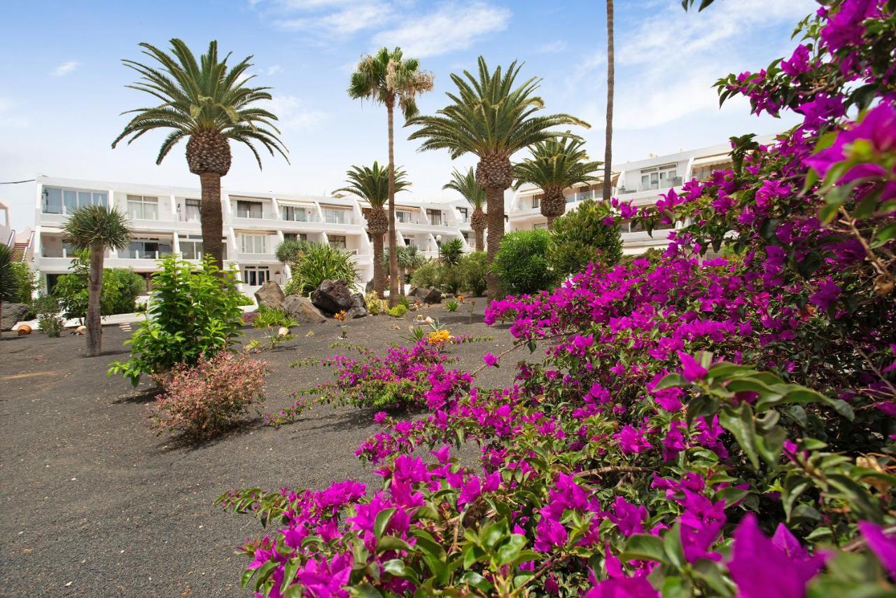 Coqueto Apartamento Puerto del Carmen  Eksteriør billede